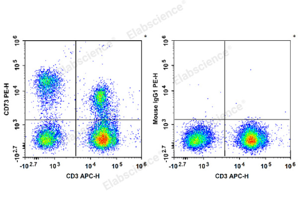 PE Anti-Human CD73 Antibody[AD2] (E-AB-F1242D)