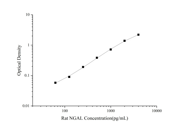 Rat NGAL Antibody Pair Set (E-KAB-0008)
