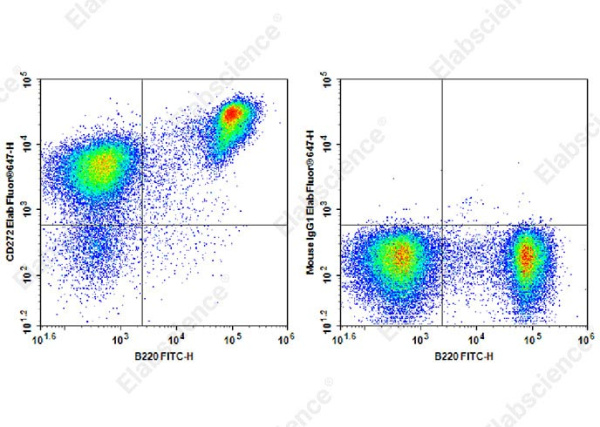 Elab Fluor® 647 Anti-Mouse CD272 Antibody[6F7] (AN00415M)