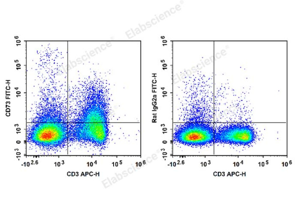 FITC Anti-Mouse CD73 Antibody[TY/23] (E-AB-F1089C)